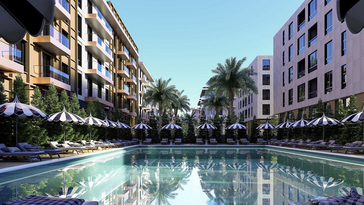 Palm Paradise